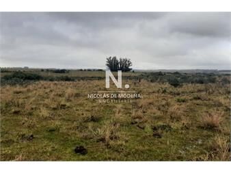 https://web5.gallito.com.uy/campo-en-maldonado-garzon-en-venta-inmuebles-27625620