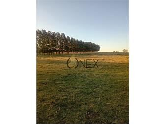 https://www.gallito.com.uy/venta-de-chacra-de-7-ha-en-zanja-de-chavez-inmuebles-27548506