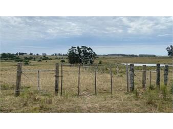 https://www.gallito.com.uy/campo-ganadero-agricola-inmuebles-27503460