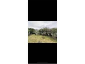 https://www.gallito.com.uy/chacra-con-vista-a-las-sierras-y-arroyo-ruta-39-maldo-inmuebles-27632174