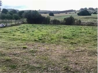 https://www.gallito.com.uy/terreno-de-2000mts-en-venta-en-pueblo-eden-inmuebles-27625262