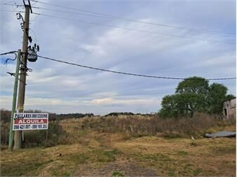 https://www.gallito.com.uy/chacra-sobre-ruta-5-progreso-km-28-inmuebles-27170188