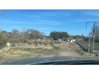 https://www.gallito.com.uy/venta-terreno-sobre-ruta-102-cerca-de-zonamerica-inmuebles-25771671
