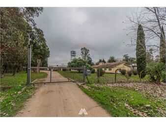 https://www.gallito.com.uy/alquiler-sobre-ruta-8-oficinas-y-gran-predio-inmuebles-27124440