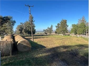https://www.gallito.com.uy/venta-de-campo-6has-sobre-ruta-11-km-146-inmuebles-27485522