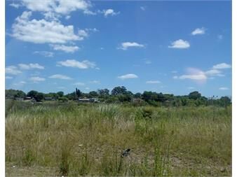 https://www.gallito.com.uy/venta-de-terreno-pronto-para-edificar-en-pando-inmuebles-26863849