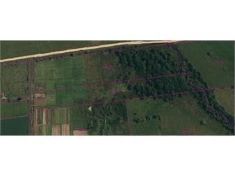 https://www.gallito.com.uy/venta-campo-de-2ha-3887-m²-a-1-cuadra-de-ruta-75-inmuebles-25640437