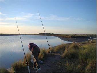 https://web5.gallito.com.uy/venta-de-campo-76has-con-costa-inmuebles-27402275