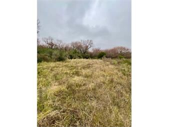 https://www.gallito.com.uy/venta-campo-19-has-sobre-arroyo-sarandi-costa-azul-inmuebles-27552758