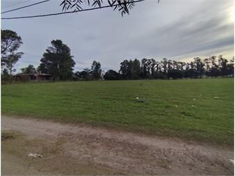 https://www.gallito.com.uy/gran-terreno-sobre-ruta-3-inmuebles-27352695