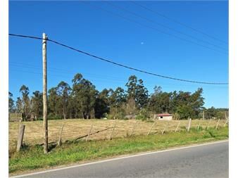 https://www.gallito.com.uy/alquiler-de-terreno-5500m²-sobre-ruta-34-km-40-inmuebles-27448182