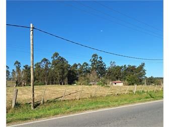https://www.gallito.com.uy/venta-de-terreno-5500m²-sobre-ruta-34-km-40-inmuebles-26052295
