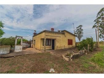 https://www.gallito.com.uy/venta-campo-de-12ha-con-casa-en-ruta-80-migues-inmuebles-26272591