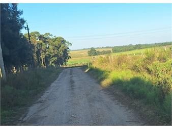 https://www.gallito.com.uy/venta-chacra-de-3-5ha-ruta-8-km42-empalme-olmos-inmuebles-27050778