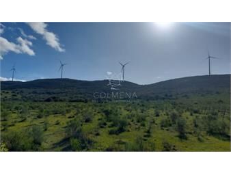 https://www.gallito.com.uy/campo-en-los-caracoles-de-5-has-y-6-has-inmuebles-27638616
