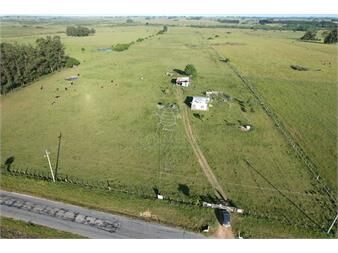 https://www.gallito.com.uy/campo-en-venta-en-san-carlos-inmuebles-27638662