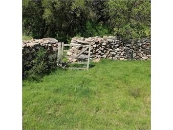 https://www.gallito.com.uy/campo-77-has-4940-m2-cerca-ruta-39-inmuebles-22909955