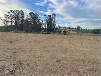 https://www.gallito.com.uy/venta-de-campo-1ha-y-2986m²-cerca-de-suarez-inmuebles-25583303