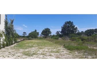 https://www.gallito.com.uy/venta-lote14-en-complejo-privado-jaureguiberry-sur-inmuebles-26051889