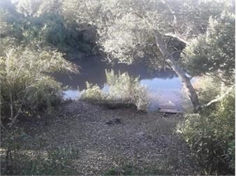 https://www.gallito.com.uy/chacra-de-4000-m2-con-costa-de-arroyo-y-monte-inmuebles-22909999