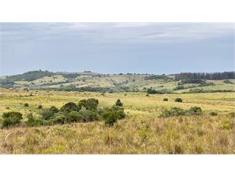 https://www.gallito.com.uy/campo-26-has-sobre-camino-los-molles-inmuebles-26598527