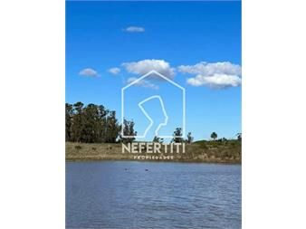 https://www.gallito.com.uy/venta-campo-26-hectareas-en-paso-del-medio-inmuebles-24614716