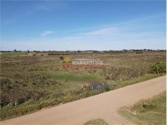 https://www.gallito.com.uy/chacra-de-3-has-zona-progreso-tajamar-dueño-6-inmuebles-27337096