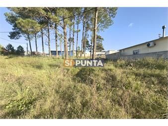 https://www.gallito.com.uy/terreno-en-venta-altos-de-la-laguna-inmuebles-27607859