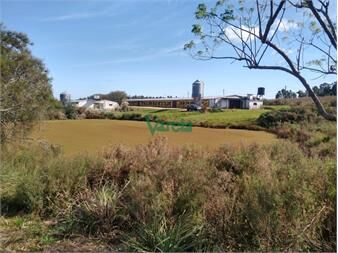 https://www.gallito.com.uy/venta-granja-avicola-de-5-6-has-sobre-ruta-11-inmuebles-27485017