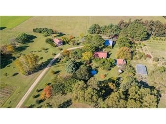 https://www.gallito.com.uy/venta-campo-y-dos-casas-en-canelones-san-jacinto-inmuebles-27331919