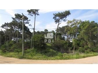 https://www.gallito.com.uy/terreno-en-venta-chihuahua-punta-ballena-ref-inmuebles-23142073