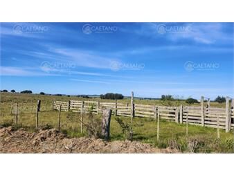 https://www.gallito.com.uy/venta-chacras-linderas-4has-pueblo-eden-inmuebles-25682928
