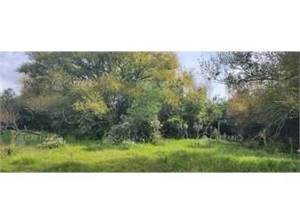 https://www.gallito.com.uy/venta-chacra-ruta-12-maldonado-inmuebles-23276525