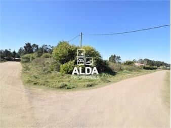 https://www.gallito.com.uy/terreno-en-punta-negra-ref-te201770-inmuebles-20369762