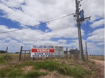 https://www.gallito.com.uy/buen-predio-rural-24-hectareas-a-600-m-ruta-5-km-50-inmuebles-24614021