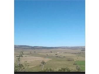 https://www.gallito.com.uy/terreno-sobre-ruta-8-con-agua-natural-y-proyecto-turistic-inmuebles-27650279