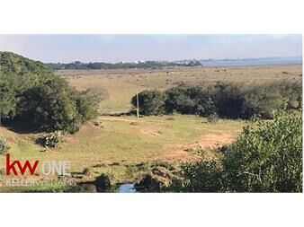 https://www.gallito.com.uy/venta-chacra-del-faro-de-medellin-jose-ignacio-inmuebles-21602400