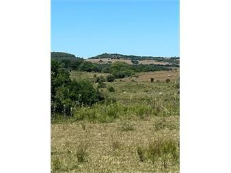 https://www.gallito.com.uy/chacra-en-sierras-de-garzon-inmuebles-26676814