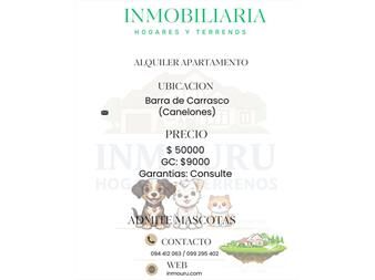 https://www.gallito.com.uy/alquiler-de-apartamento-de-2-dormitorios-en-barra-inmuebles-27657444