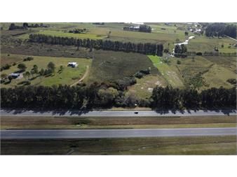 https://www.gallito.com.uy/venta-de-campo-3-ha-sobre-ruta-8-km-45-inmuebles-27484248