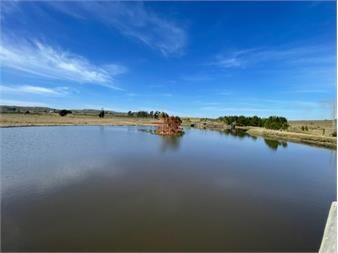 https://www.gallito.com.uy/chacra-en-venta-maldonado-inmuebles-27657667
