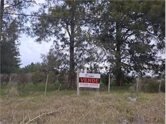 https://www.gallito.com.uy/venta-terreno-ideal-para-empresa-logistica-inmuebles-27657682