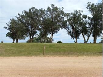https://www.gallito.com.uy/venta-de-lote-en-el-quijote-inmuebles-21491374