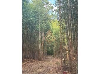 https://www.gallito.com.uy/venta-chacra-de-7-has-en-camino-de-los-ceibos-de-inmuebles-27662104