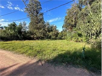 https://web5.gallito.com.uy/venta-terreno-punta-ballena-maldonado-inmuebles-27306010