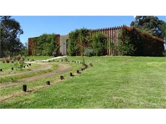 https://www.gallito.com.uy/casa-en-venta-de-4-dormitorios-en-el-quijote-del-inmuebles-25417824