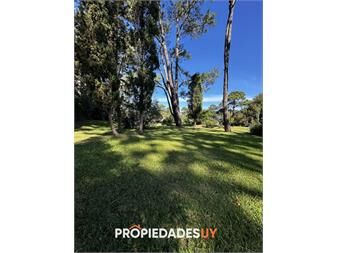 https://www.gallito.com.uy/venta-terreno-punta-del-este-inmuebles-27666235
