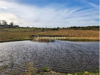 https://www.gallito.com.uy/a-10-kms-de-pueblo-garzon-chacra-de-36-ha-inmuebles-24351300