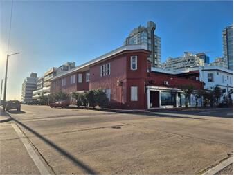 https://web5.gallito.com.uy/departamento-en-venta-para-renta-en-punta-del-este-inmuebles-27503698