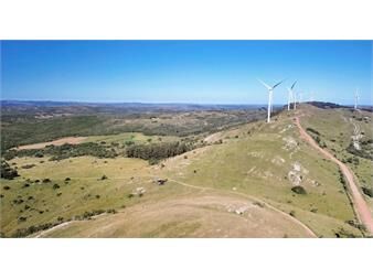 https://web5.gallito.com.uy/venta-campo-ganadero-forestal-maldonado-lavalleja-inmuebles-27306571